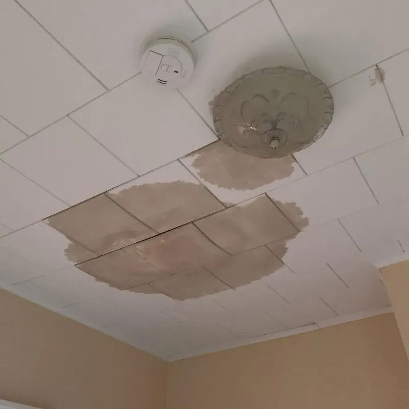 Ceiling Water Damage Repair in Storrs, CT