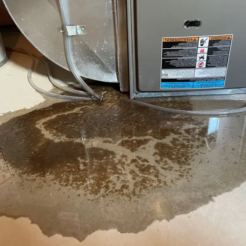 Pipe Burst and Leak Restoration in Storrs, CT