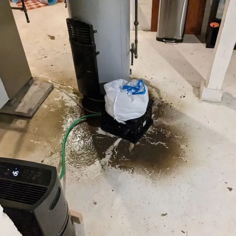 Sewage Backup Cleanup Service in Storrs, CT